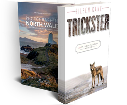 Valued Book Publishers